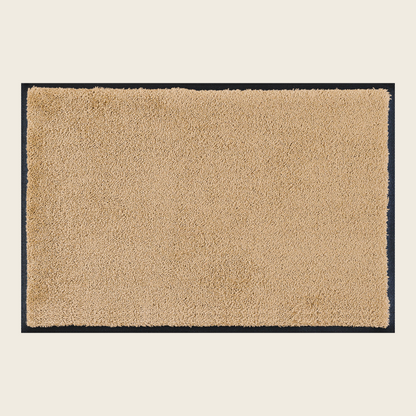 Sahara