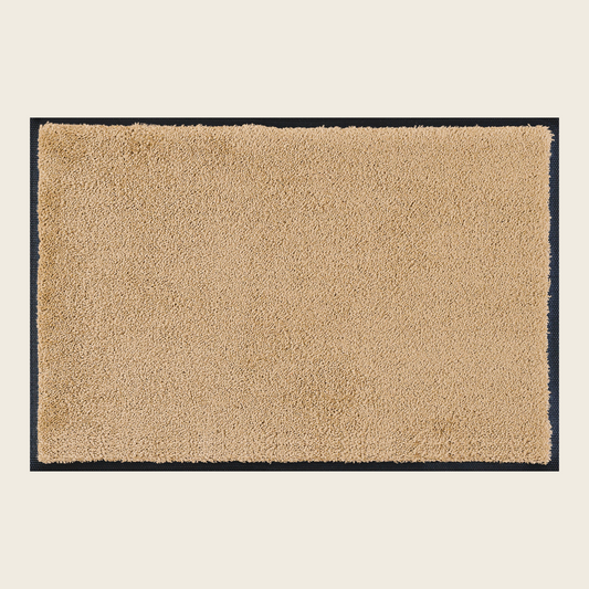 Sahara