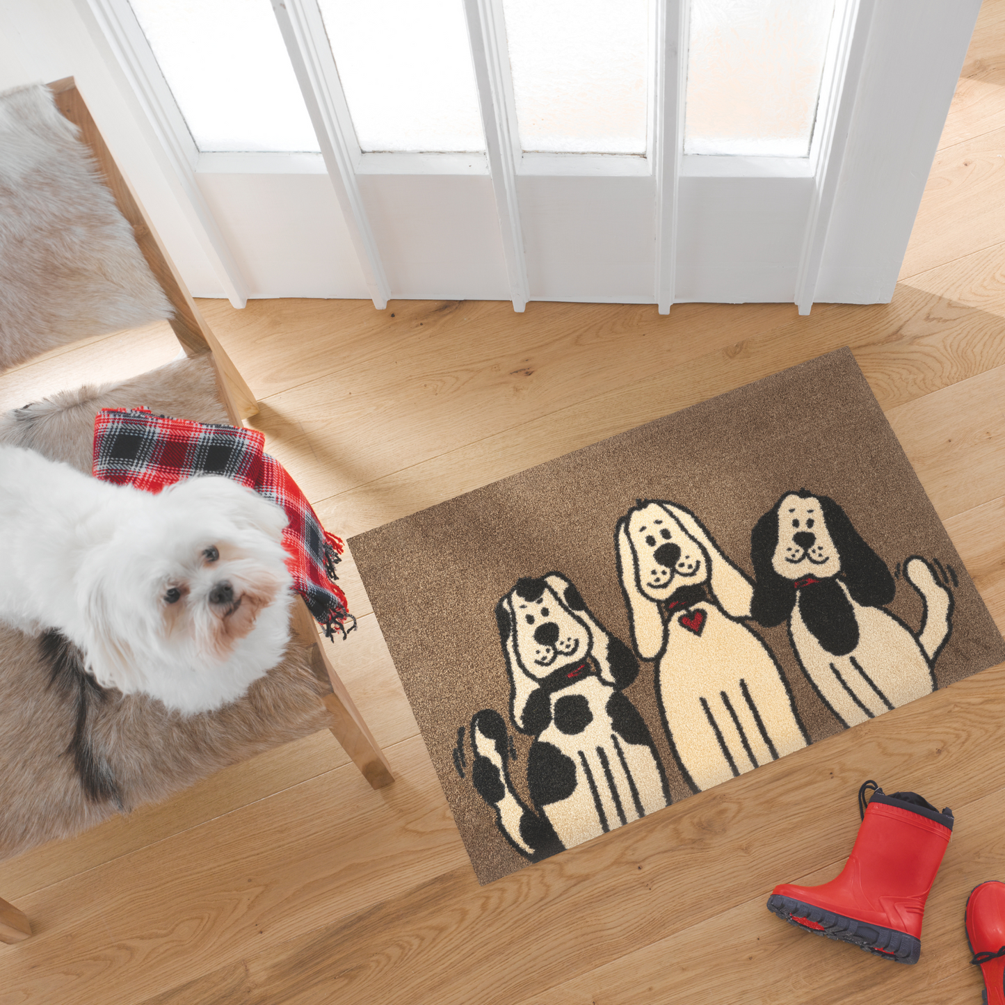 Three Dogs Taupe